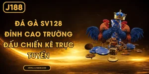 Đá Gà SV128 - Đỉnh Cao Trường Đấu Chiến Kê Trực Tuyến