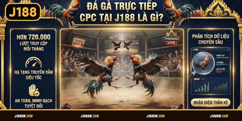 Giới thiệu về đá gà trực tiếp CPC tại J188