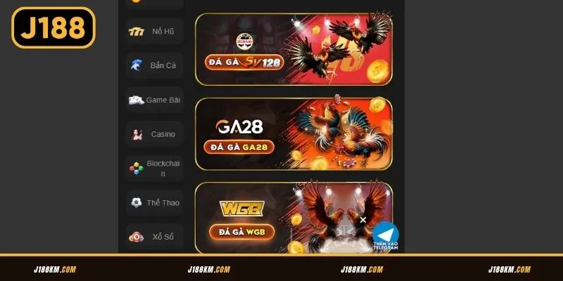 Khám phá các sảnh đá gà J188 uy tín