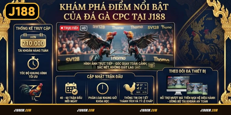 Khám phá điểm nổi bật của đá gà CPC tại J188
