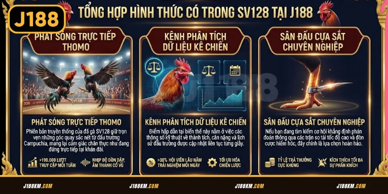 Tổng hợp hình thức có trong SV128 tại J188
